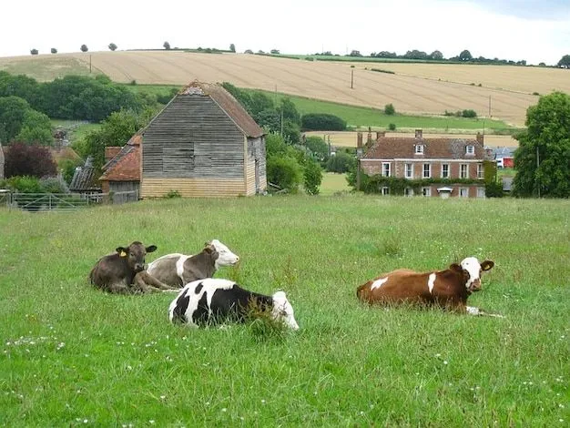 Pintoresco reino rural granja inglaterra united paisaje ...