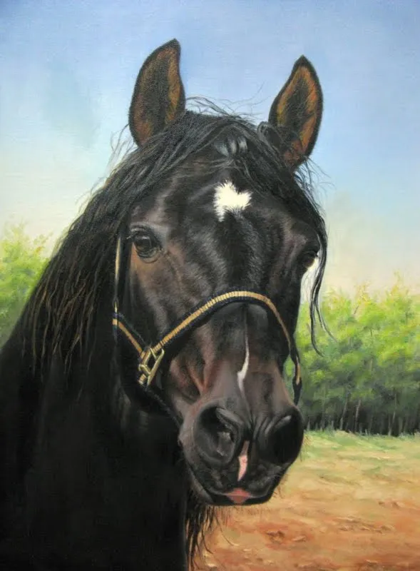 PINTURA EQUINOS AL ÓLEO | El club del arte, pinturas