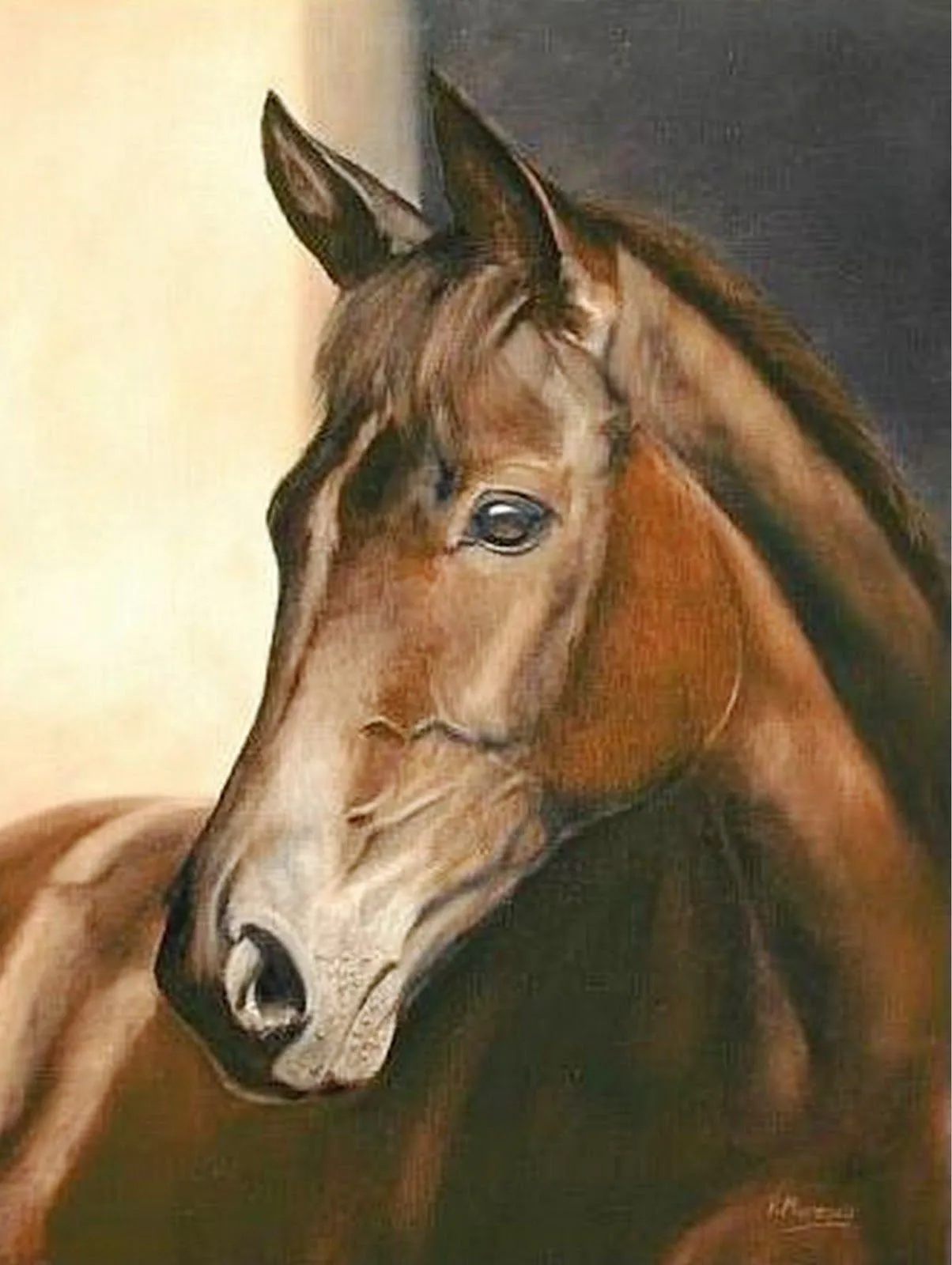 Pintura y Fotografía Artística : 05/