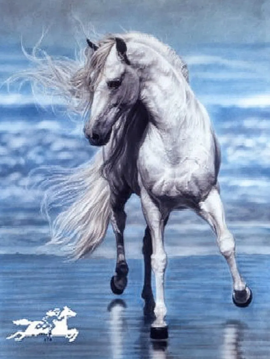 Pintura y Fotografía Artística : Caballos Salvajes Corriendo ... Pintura y Fotografía Artística : Caballos Salvajes Corriendo ...