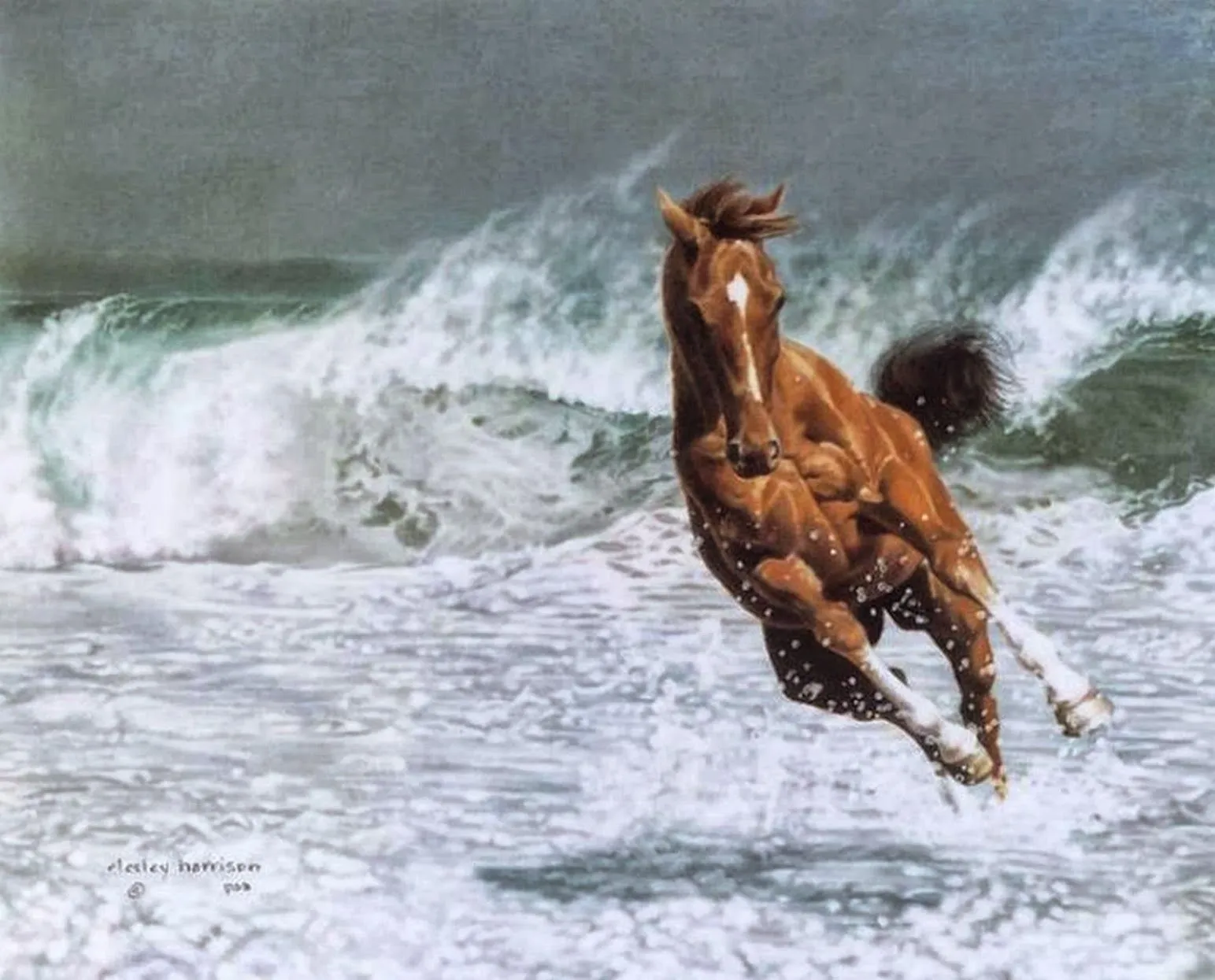 Pintura y Fotografía Artística : Caballos Salvajes Corriendo ... Pintura y Fotografía Artística : Caballos Salvajes Corriendo ...