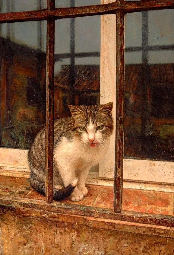 Pintura y Fotografía Artística : CUADROS OLEO: ANIMALES