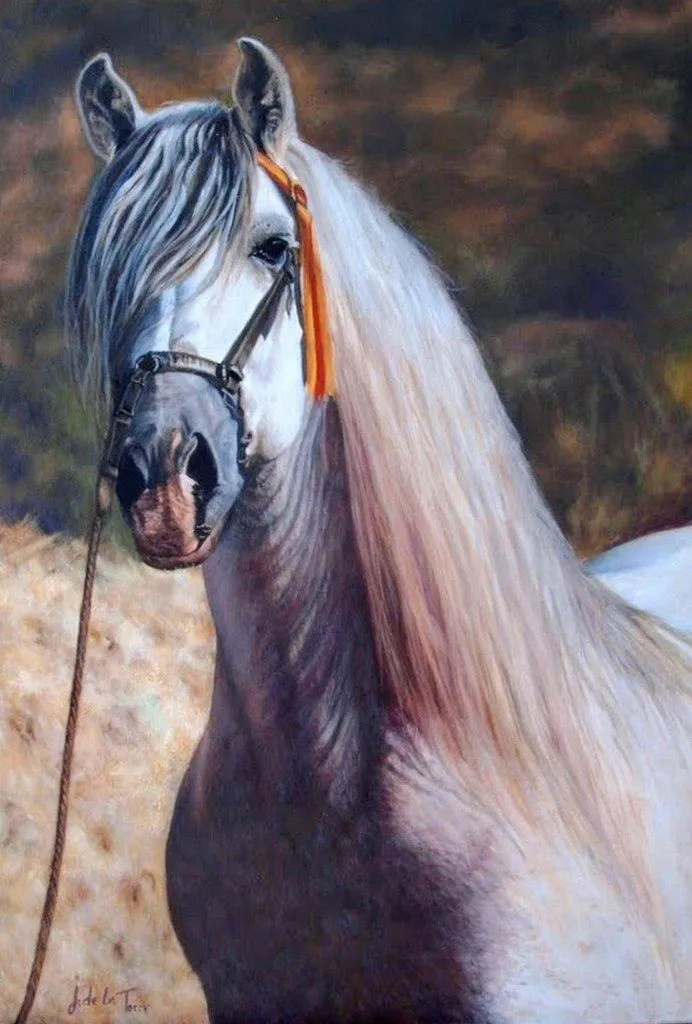 Pintura y Fotografía Artística : CUADROS PINTURAS DE CABALLOS Pintura y Fotografía Artística : CUADROS PINTURAS DE CABALLOS