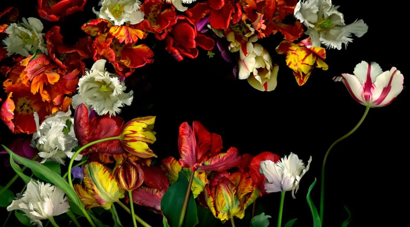 Pintura y Fotografía Artística : Fotografías Artísticas de ... Pintura y Fotografía Artística : Fotografías Artísticas de ...