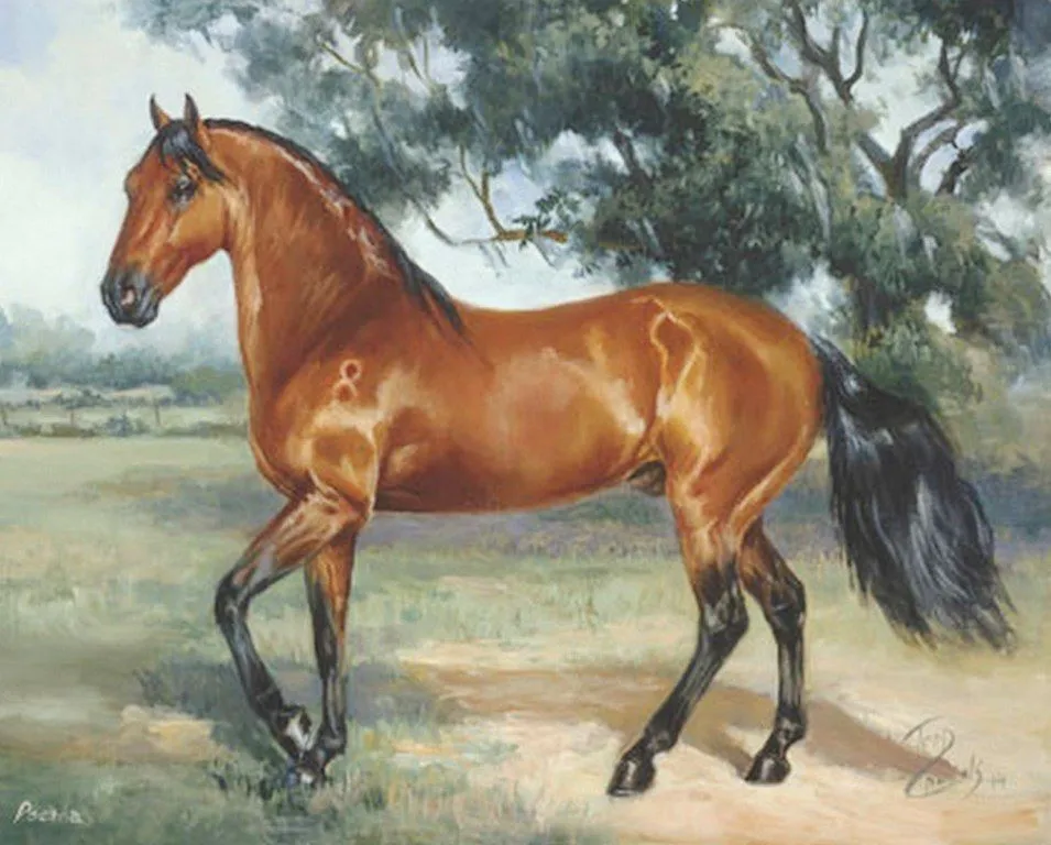 Pintura y Fotografía Artística : Galería de Cuadros de Caballos al ... Pintura y Fotografía Artística : Galería de Cuadros de Caballos al ...