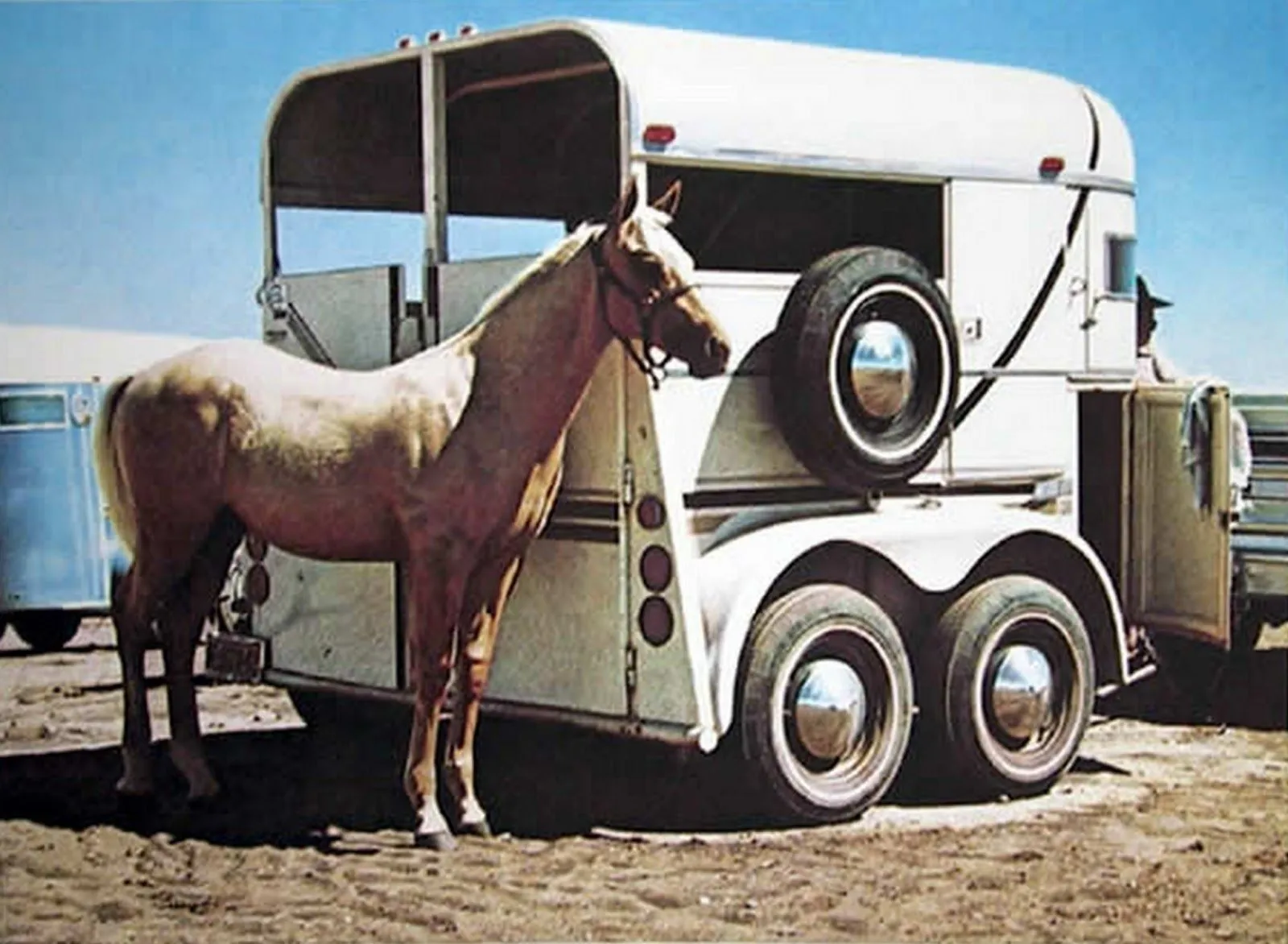 Pintura y Fotografía Artística : Paisajes con Caballos Pintura y Fotografía Artística : Paisajes con Caballos
