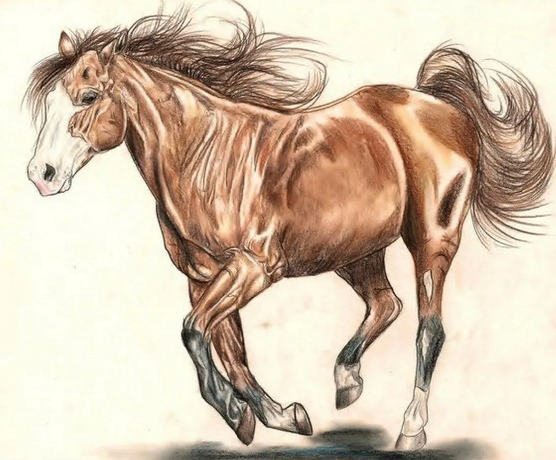Pintura y Fotografía Artística : Pintura al Óleo de Caballos Modernos Pintura y Fotografía Artística : Pintura al Óleo de Caballos Modernos