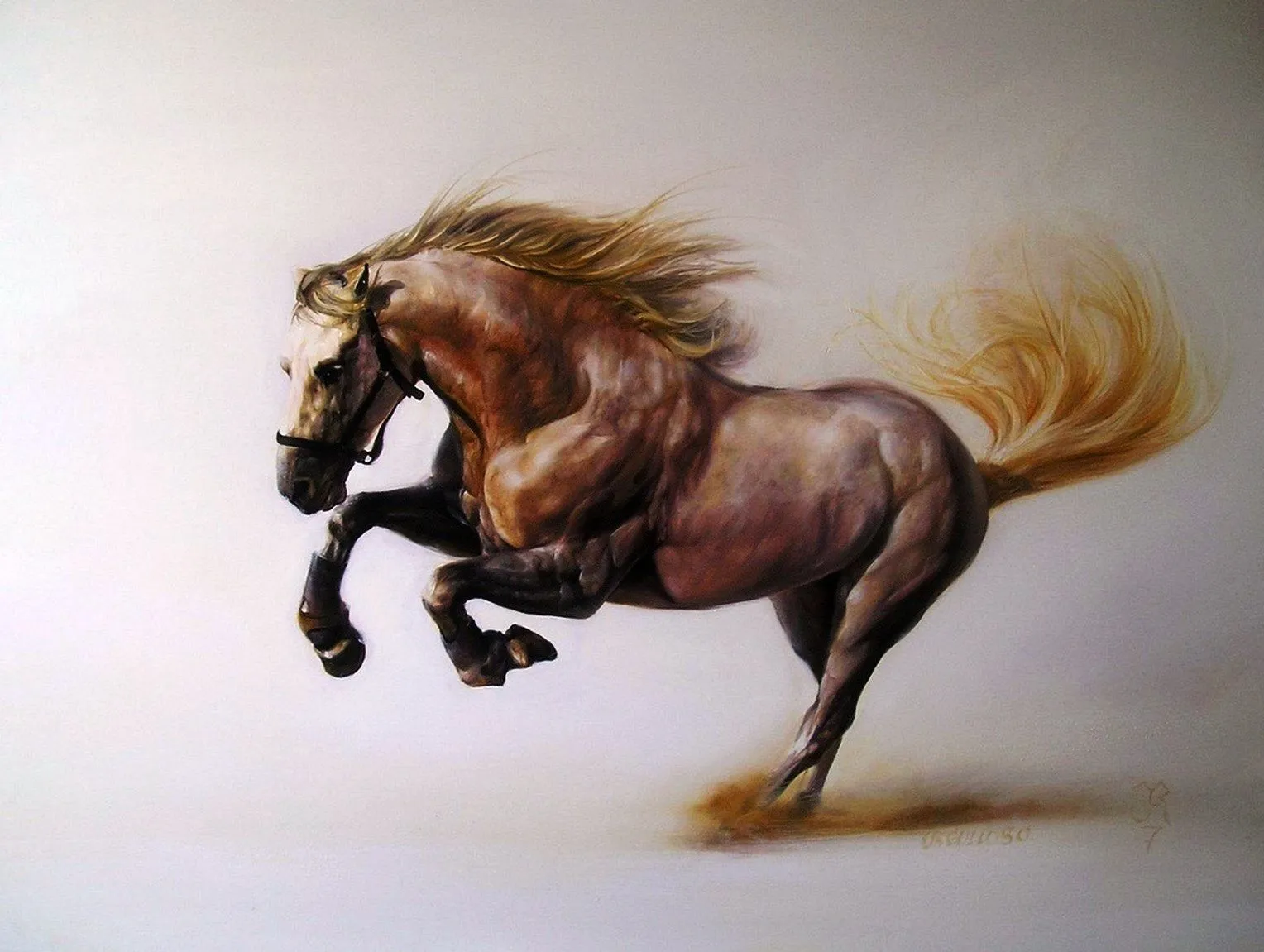 Pintura y Fotografía Artística : Nuevas Pinturas de Caballos al Óleo Pintura y Fotografía Artística : Nuevas Pinturas de Caballos al Óleo