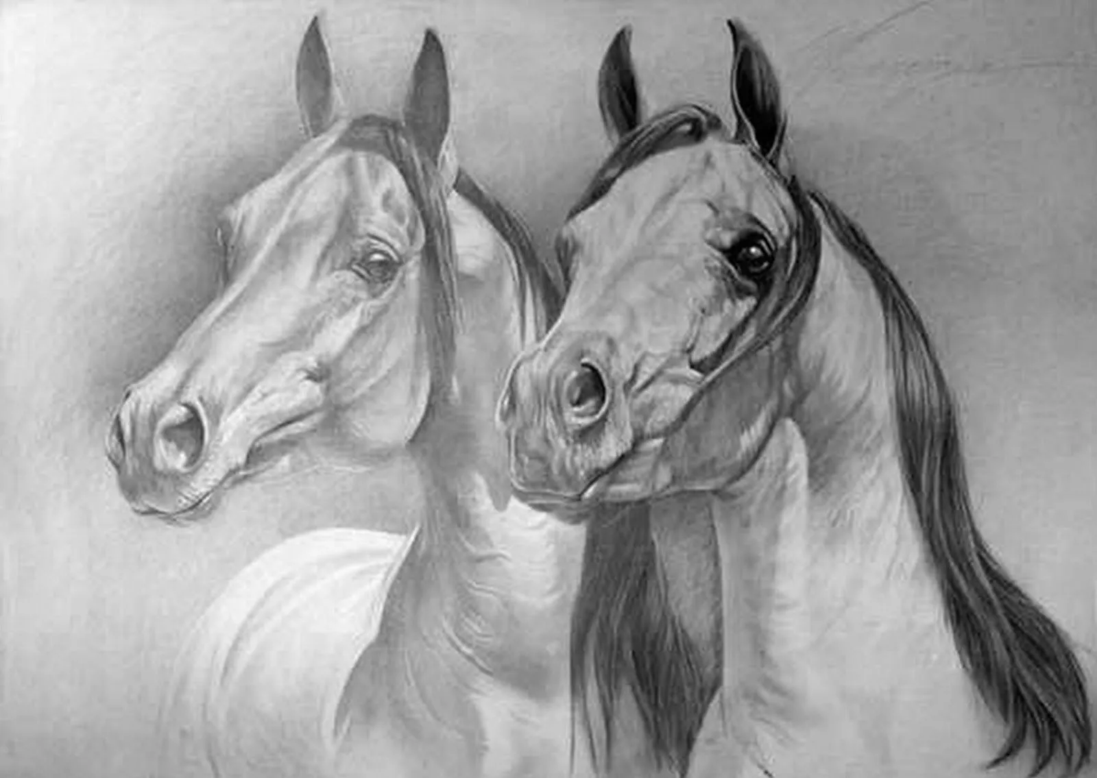 Pinturas de Caboncillos | Pintura y Fotografía Artística