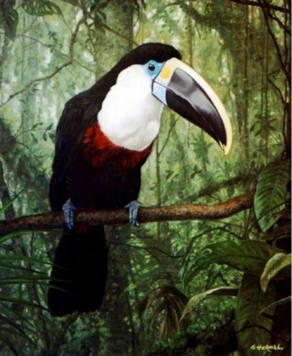 Pintura Moderna al Óleo: Aves exóticas pintadas en óleo sobre lienzo Pintura Moderna al Óleo: Aves exóticas pintadas en óleo sobre lienzo