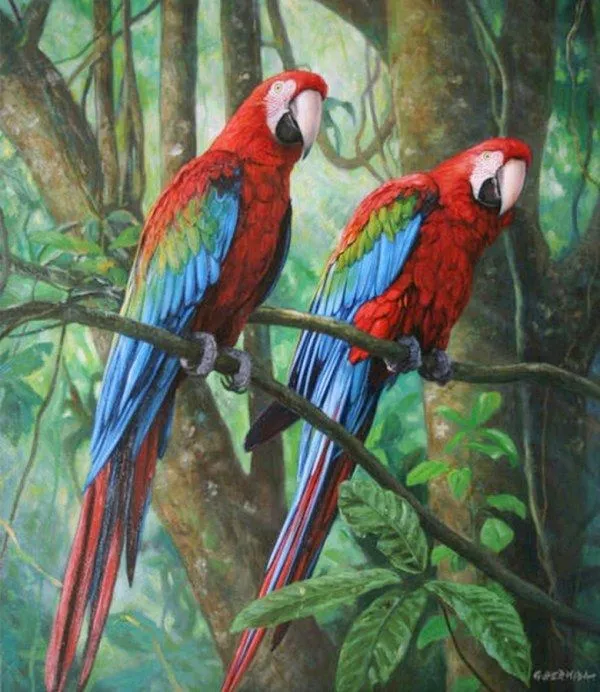 Pintura Moderna al Óleo: Aves exóticas pintadas en óleo sobre lienzo Pintura Moderna al Óleo: Aves exóticas pintadas en óleo sobre lienzo