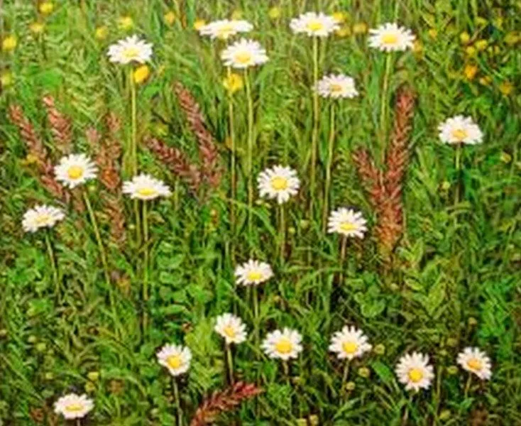 Pintura Moderna al Óleo: Flores pintadas con acrílico