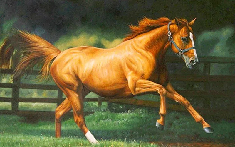 Pinturas &amp; Cuadros: Hermosos caballos pintados en óleo