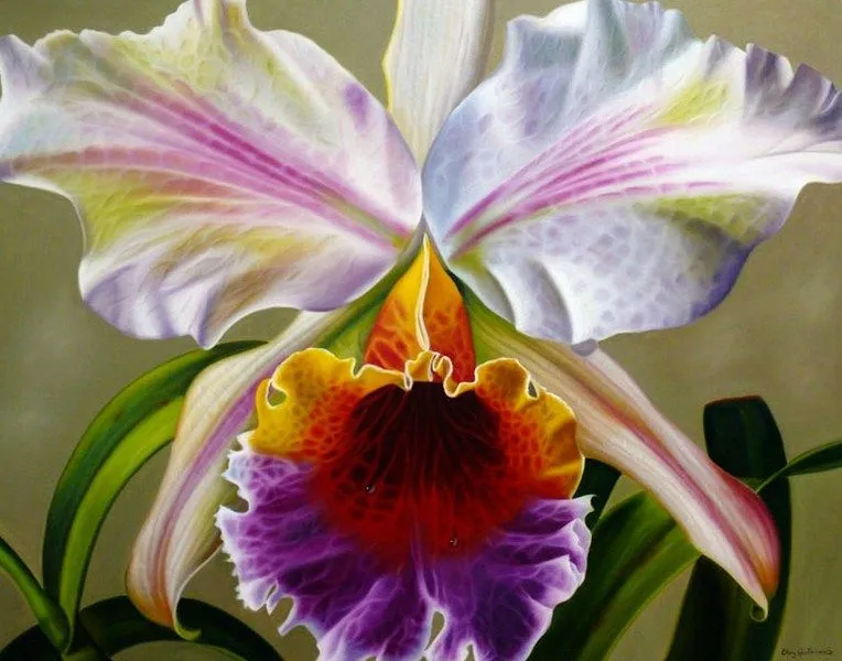 Pinturas & Cuadros: Orquídeas pintadas en óleo Pinturas & Cuadros: Orquídeas pintadas en óleo