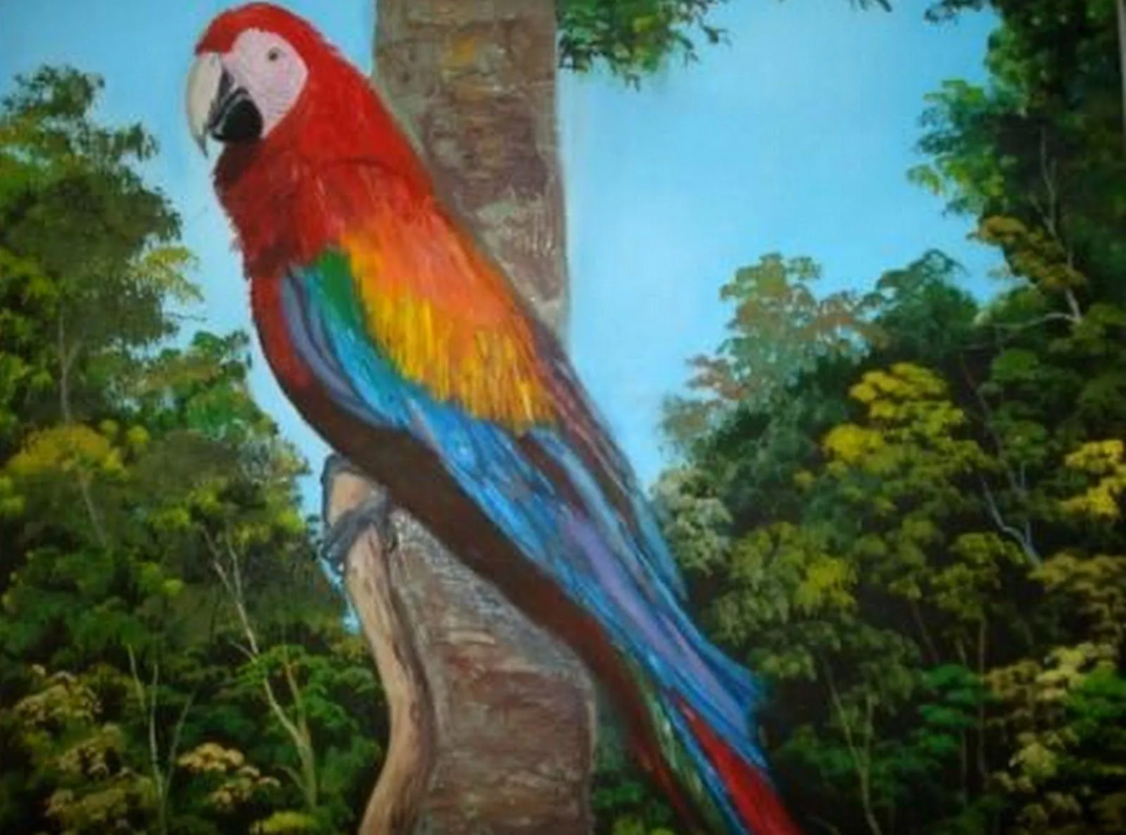Pintura Moderna al Óleo: Paisajes del amazonas en oleo Pintura Moderna al Óleo: Paisajes del amazonas en oleo
