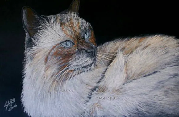 Pintura original de gato em pastel seco | Cybele Chaves | Elo7 Pintura original de gato em pastel seco | Cybele Chaves | Elo7