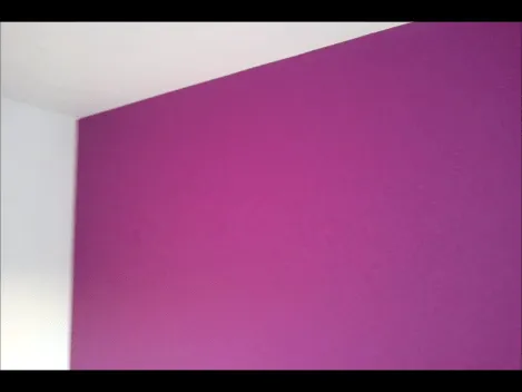 Pintura Plastica Color Blanco y Morado Oscuro | PINTORES EN MADRID ...