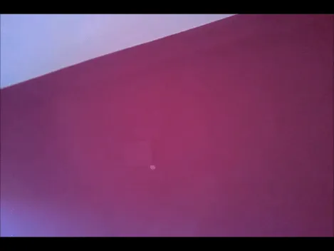 Pintura Plastica Color Rosa Claro y Morado Oscuro | PINTORES EN ...