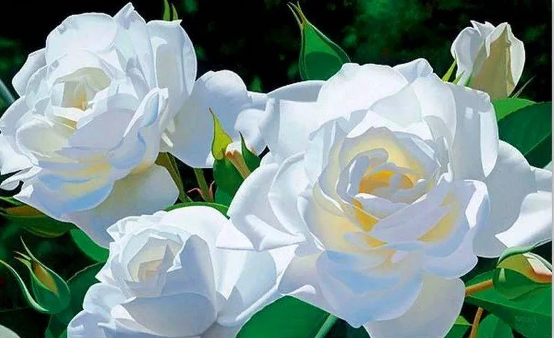 Pinturas & Cuadros: Cuadros de rosas