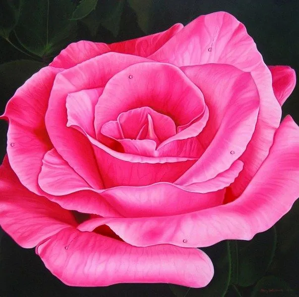 Pinturas & Cuadros: Coloridas pinturas de flores Pinturas & Cuadros: Coloridas pinturas de flores