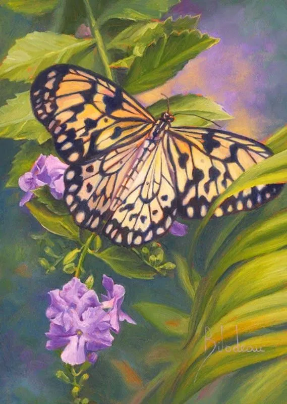 Pinturas & Cuadros: Mariposas: Representación en Pintura al Óleo ... Pinturas & Cuadros: Mariposas: Representación en Pintura al Óleo ...