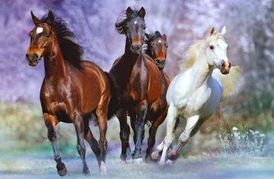 PINTURAS: CABALLOS CORRIENDO. Caballos Pintados al Óleo Sobre Lienzo. Pinturas Caballos corriendo al Óleo. ARTE EN CABALLOS AL ÓLEO. Pintura al Óleo.