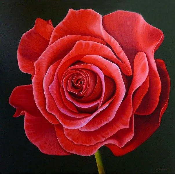 Pinturas Cuadros al Óleo: Cuadros con bonitas flores