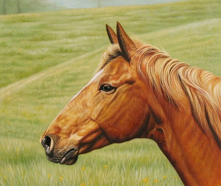 Pinturas Cuadros al Óleo: Cuadros: Cabezas de caballos Pinturas Cuadros al Óleo: Cuadros: Cabezas de caballos