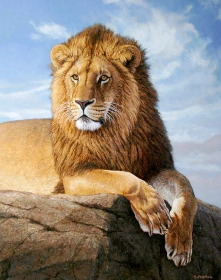 Pinturas Cuadros al Óleo: Cuadros de Leones al Óleo Pinturas Cuadros al Óleo: Cuadros de Leones al Óleo