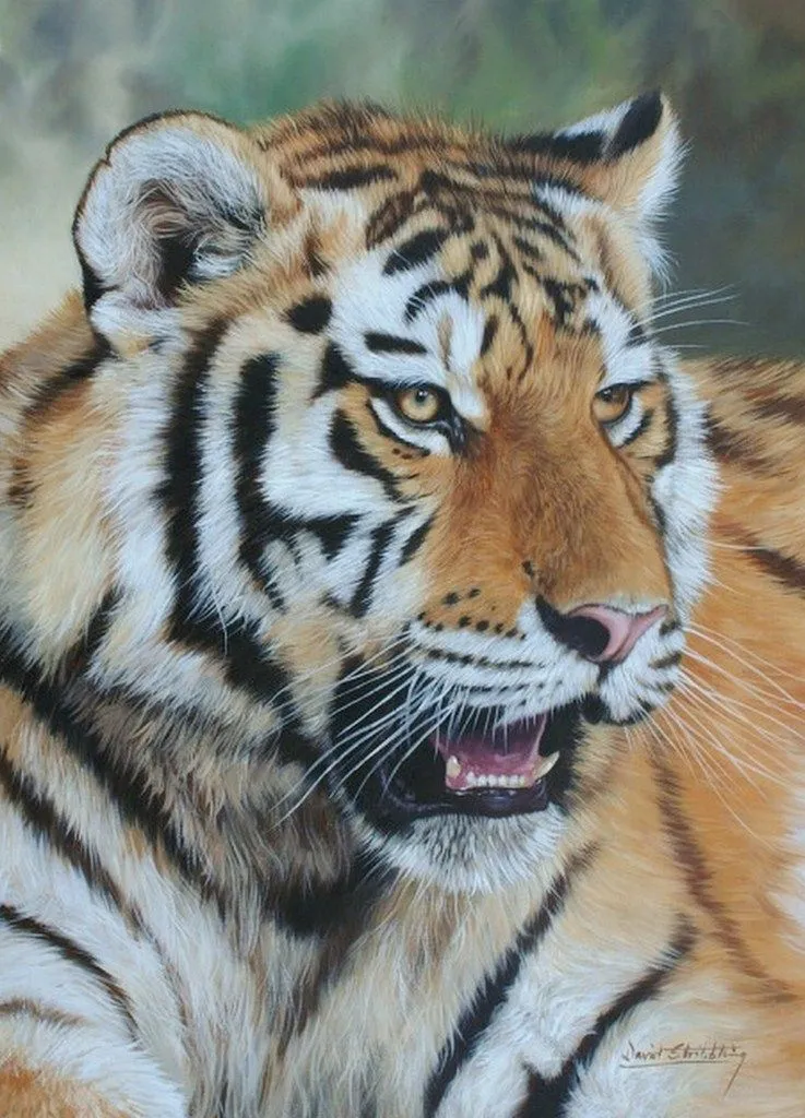 Pintura Moderna al Óleo: Galería: Cuadros animales al Óleo