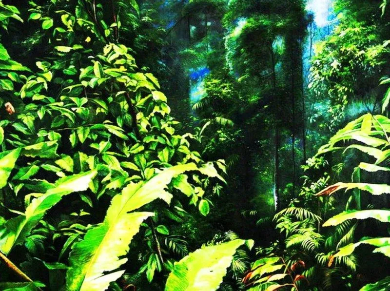 Pinturas Cuadros al Óleo: Paisajes de la selva