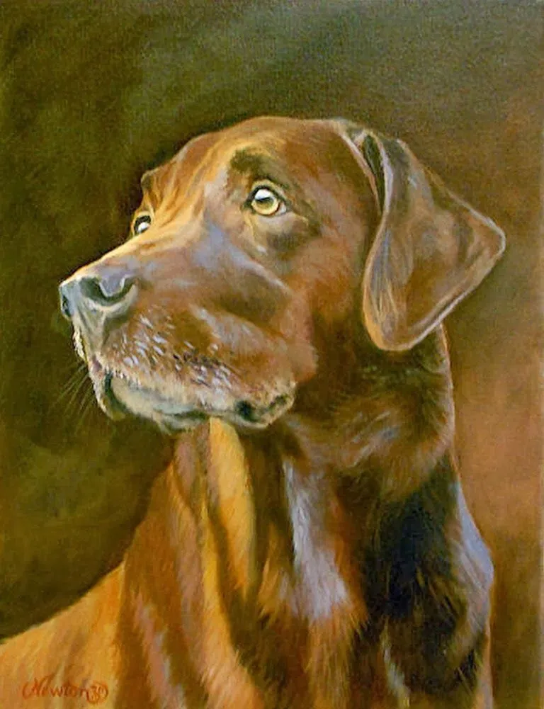 Pinturas Cuadros: Pinturas al Óleo de Animales, Obras Realistas de ...