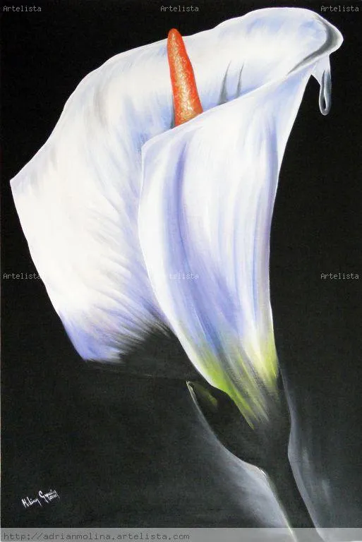 Pinturas con fondo negro - Imagui