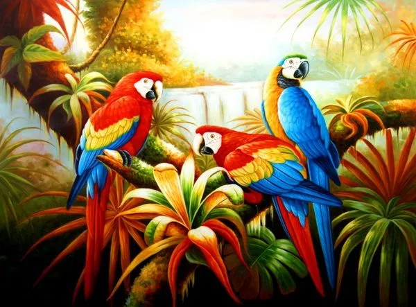 Guacamayas para colorear - Imagui