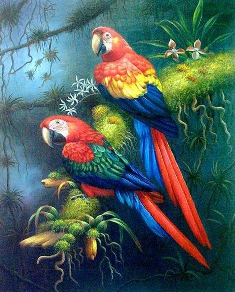 Dibujos de guacamayas rojas para pintar - Imagui Dibujos de guacamayas rojas para pintar - Imagui