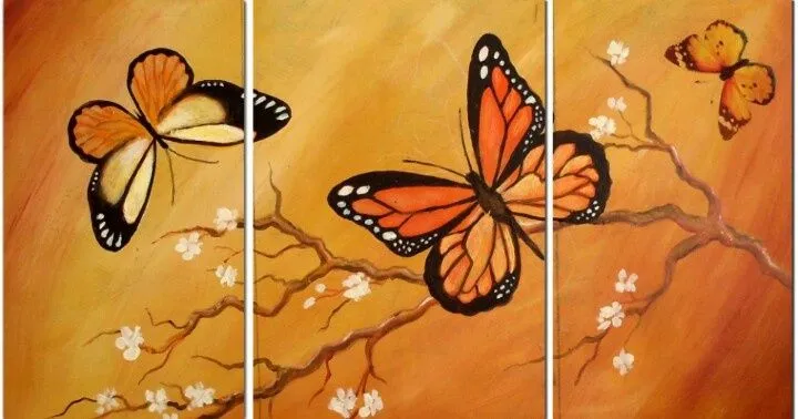 Cuadro de Mariposas | Curiosidades | Pinterest Cuadro de Mariposas | Curiosidades | Pinterest