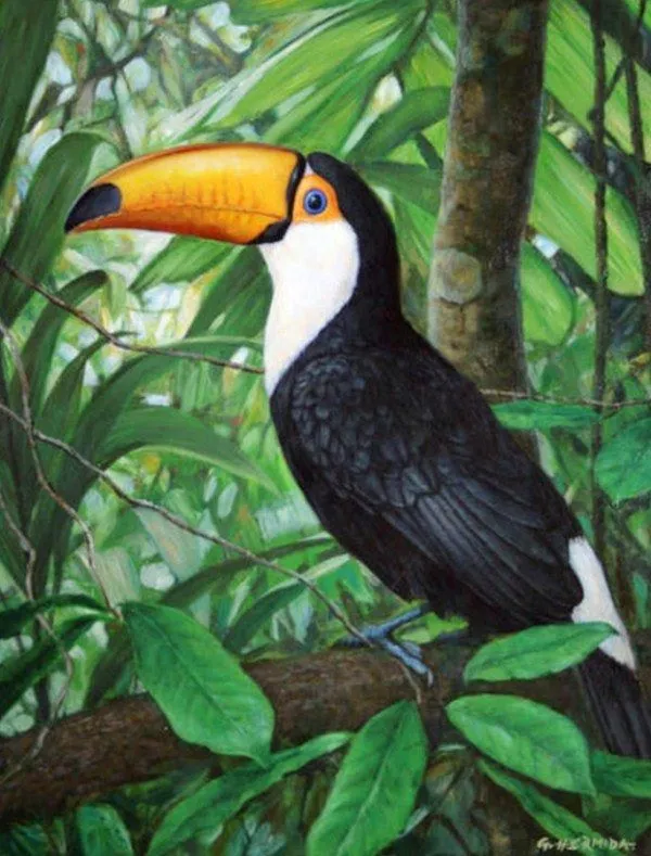 Pinturas al óleo animales exóticos | Pinturas al Óleo Pinturas al óleo animales exóticos | Pinturas al Óleo