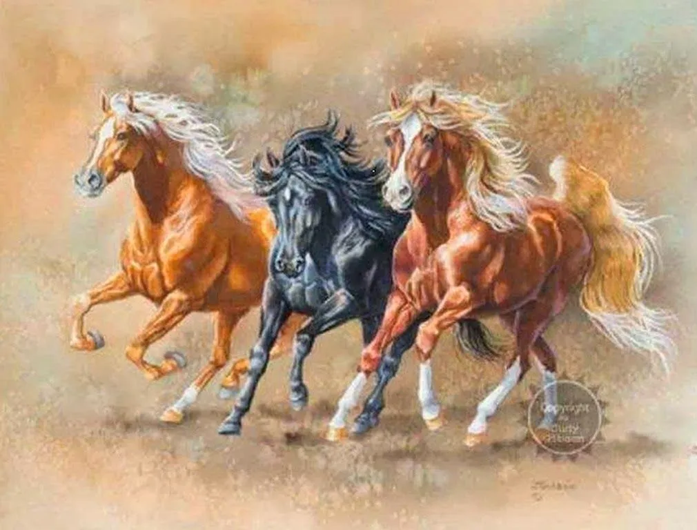 PINTURAS AL OLEO DE CABALLOS. Pintor Judy Gibson,  Artista Americano. Corceles Pintados en Óleo. Pinturas Decorativas con Equinos