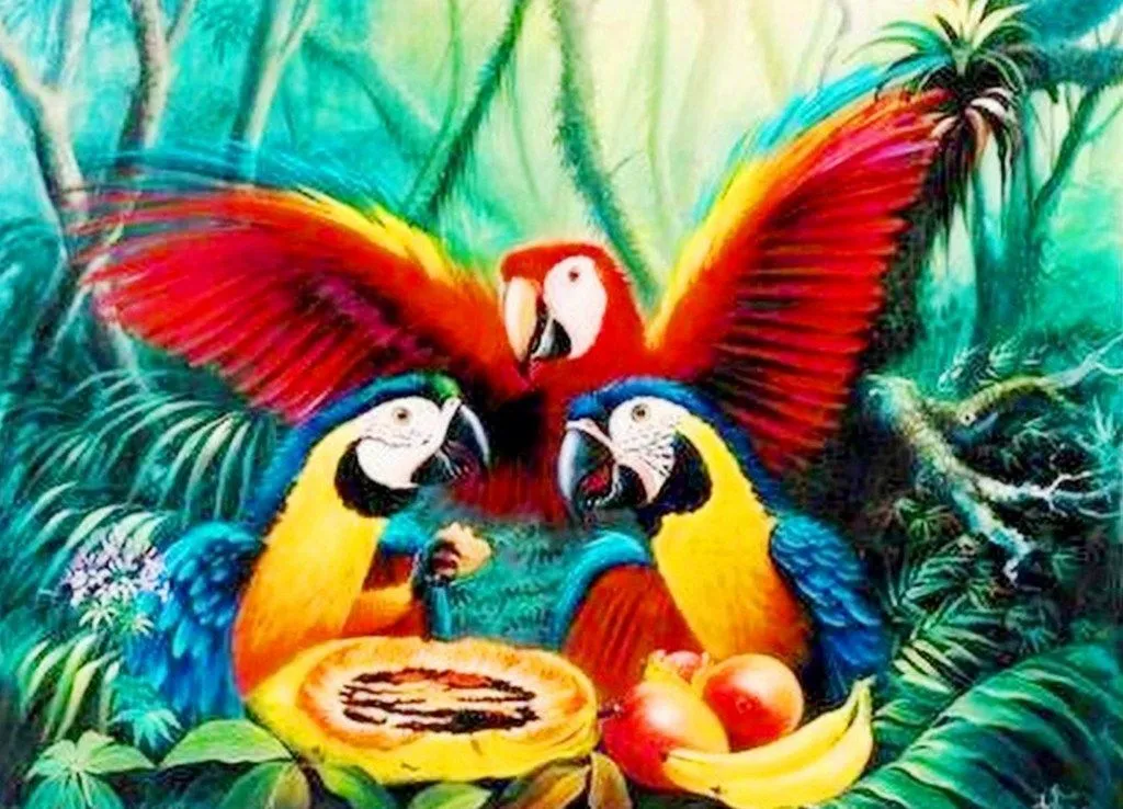 Pinturas de Pajaros Exoticos | El club del arte, pinturas Pinturas de Pajaros Exoticos | El club del arte, pinturas