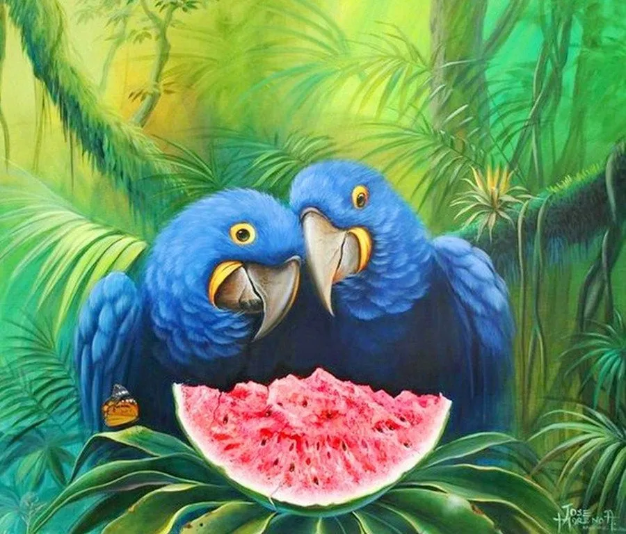 Pinturas de Pajaros Exoticos | Pinturas al Óleo Pinturas de Pajaros Exoticos | Pinturas al Óleo