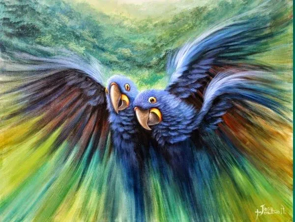 Pinturas Temáticas : Imágenes Cuadros Modernos de Aves