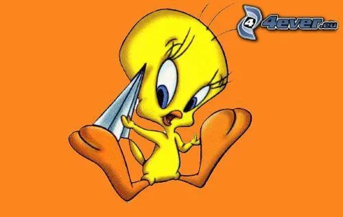 piolin-130548.jpg