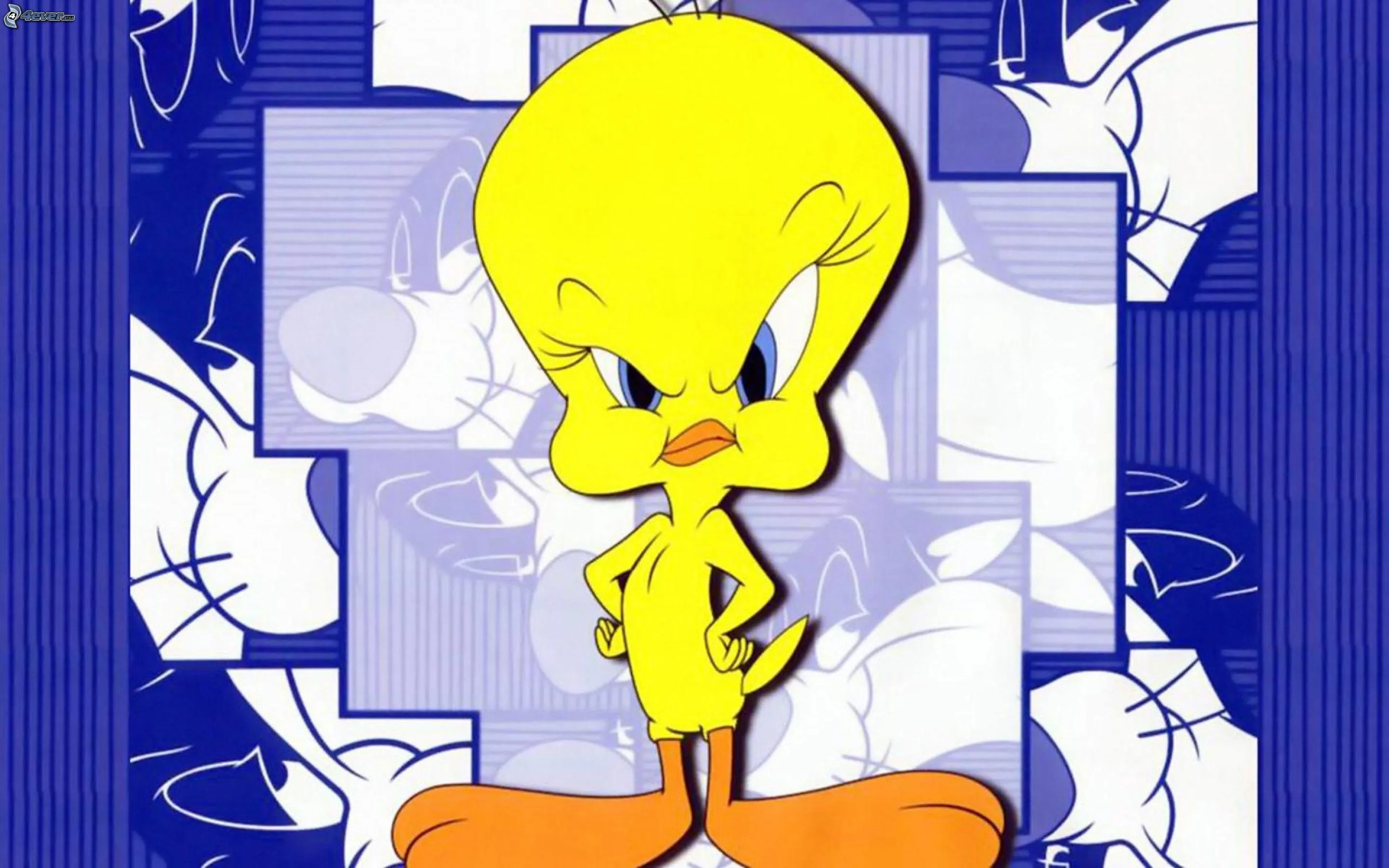 Piolin HD - Imagui