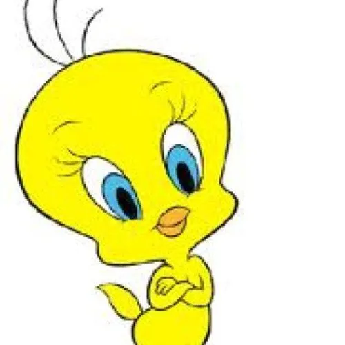 Piolin (@PiolinsLand) | Twitter