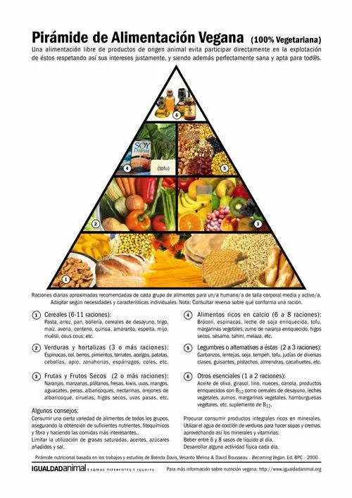 Pirámide de Alimentación Vegana | Igualdad Animal Pirámide de Alimentación Vegana | Igualdad Animal