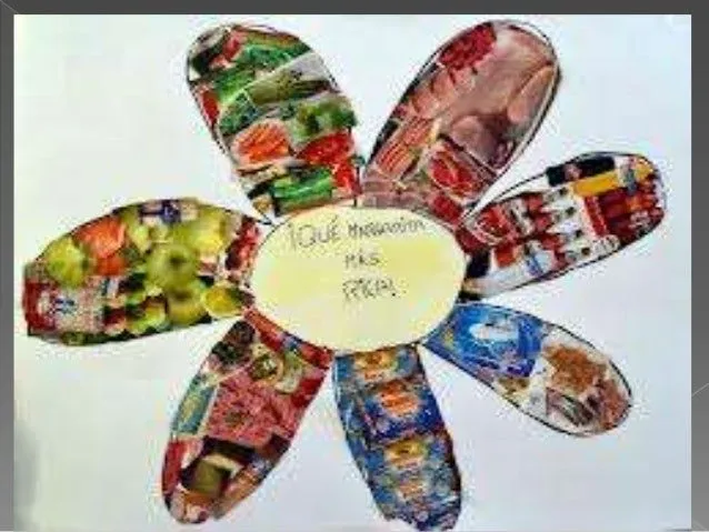 Piramide alimenticia