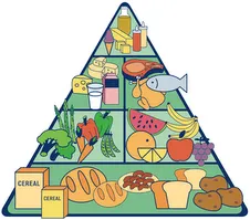 PIRAMIDE ALIMENTICIA