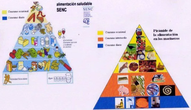 Piramide de los animales - Imagui
