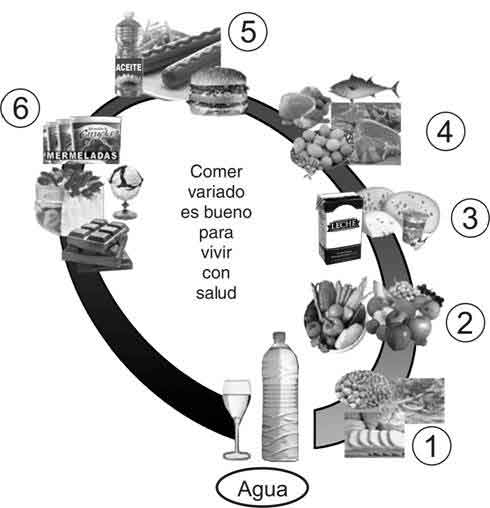 Pirámide alimenticia y Óvalo nutricional. Secuencia didáctica ...