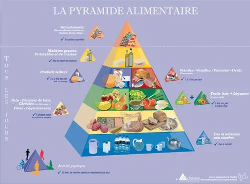 Pirámides alimentarias del mundo | Consejo Nutricional